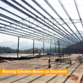 China famosa fábrica Tianrui diseño Morden Chicken Farm estructuras